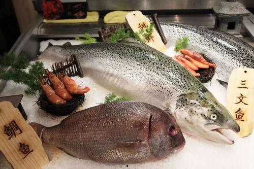 国产三文鱼养殖视频,从源头到餐桌的绿色之旅