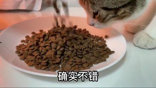 国产猫粮制作视频,匠心独运，品质生活从“粮”开始
