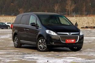 傻子买国产车搞笑视频,傻子买车的疯狂日常