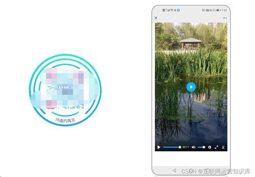 野花视频国产二维码,解锁独特视觉体验