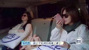 国产疯狂女同胞互膜视频,揭秘现代女性社交新风尚