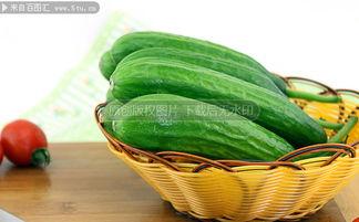 国产精品视频小黄瓜,国产精品视频中的清新之选