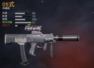 两把国产枪吃鸡视频,两把神枪吃鸡战场大放异彩