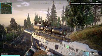 两把国产枪吃鸡视频,两把神枪吃鸡战场大放异彩