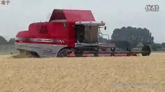 国产收割机热门视频大全,科技农业新风采