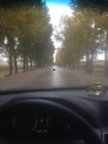 国产车夜游高速视频大全,炫酷光影秀尽展速度与激情