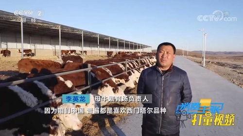 国产养殖视频,科技赋能下的绿色养殖之旅