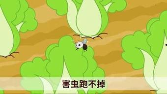 国产小青蛙视频哪里有,探寻自然之美，感受生态魅力  第3张